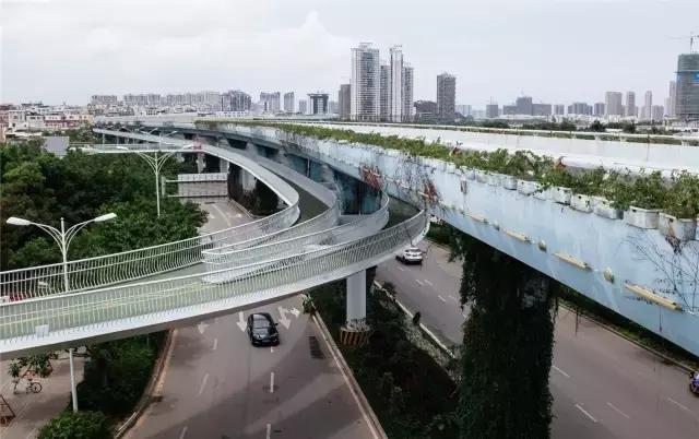 厦门旅游景点必去攻略自由行,厦门旅游攻略最好的城市自由行