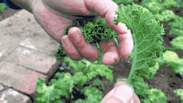 一场秋宴是清欢/农场餐桌之慈心秋宴纪实Farm-to-Table