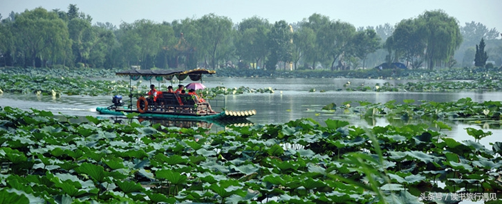 潍坊增五家3a级旅游景区,潍坊的5a级景区