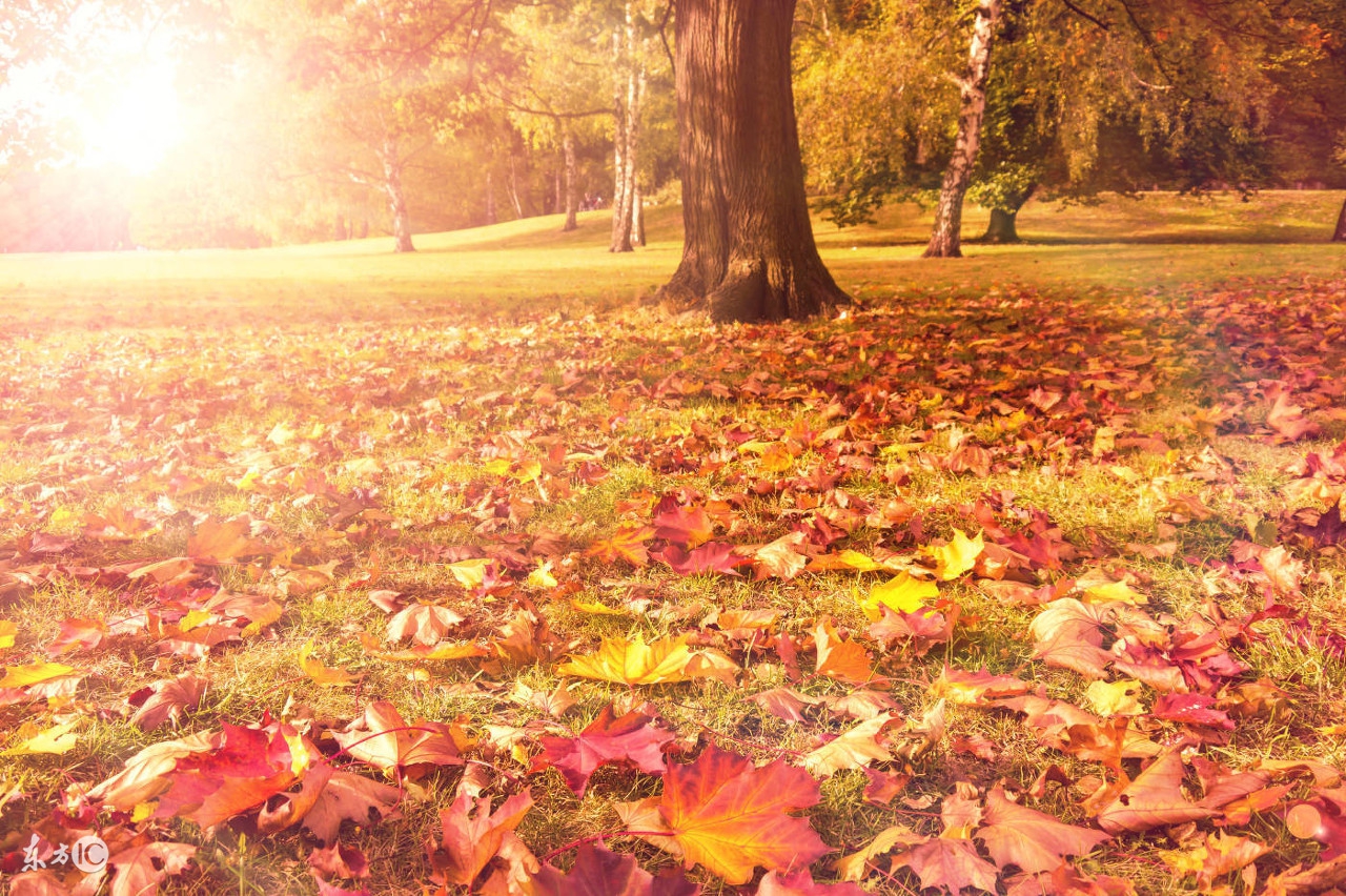 一到秋天就过敏怎么办,秋天脸过敏发痒发红怎么治