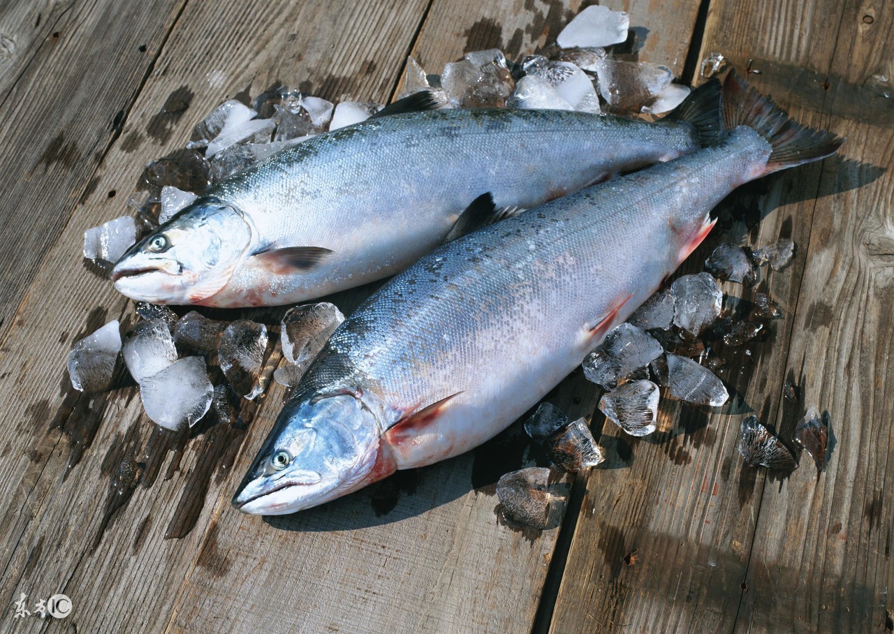 鱼油对结肠癌有没有好处,常吃鱼油会不会引发结肠癌