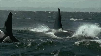 等了17年,等了你十七年