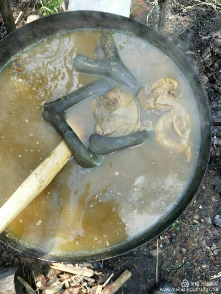 内蒙古草原旅游度假村,内蒙古敖鲁古雅景区