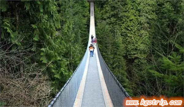 汤唯吴秀波北京遇上西雅图台词,汤唯吴秀波北京遇上西雅图情书