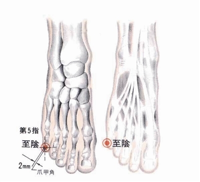 人体穴位大全全身高清穴位图,全身最重要的74个穴位讲解附图