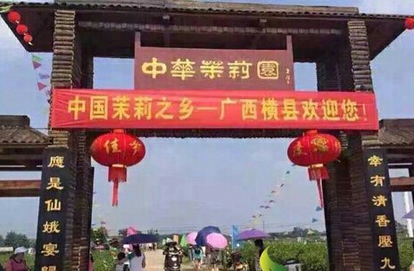 横县最美的茉莉小镇,中国茉莉之乡标志