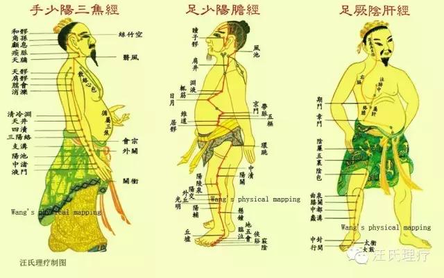 经络堵了怎么疏通人体经络,经络一通瘀血一散百病消