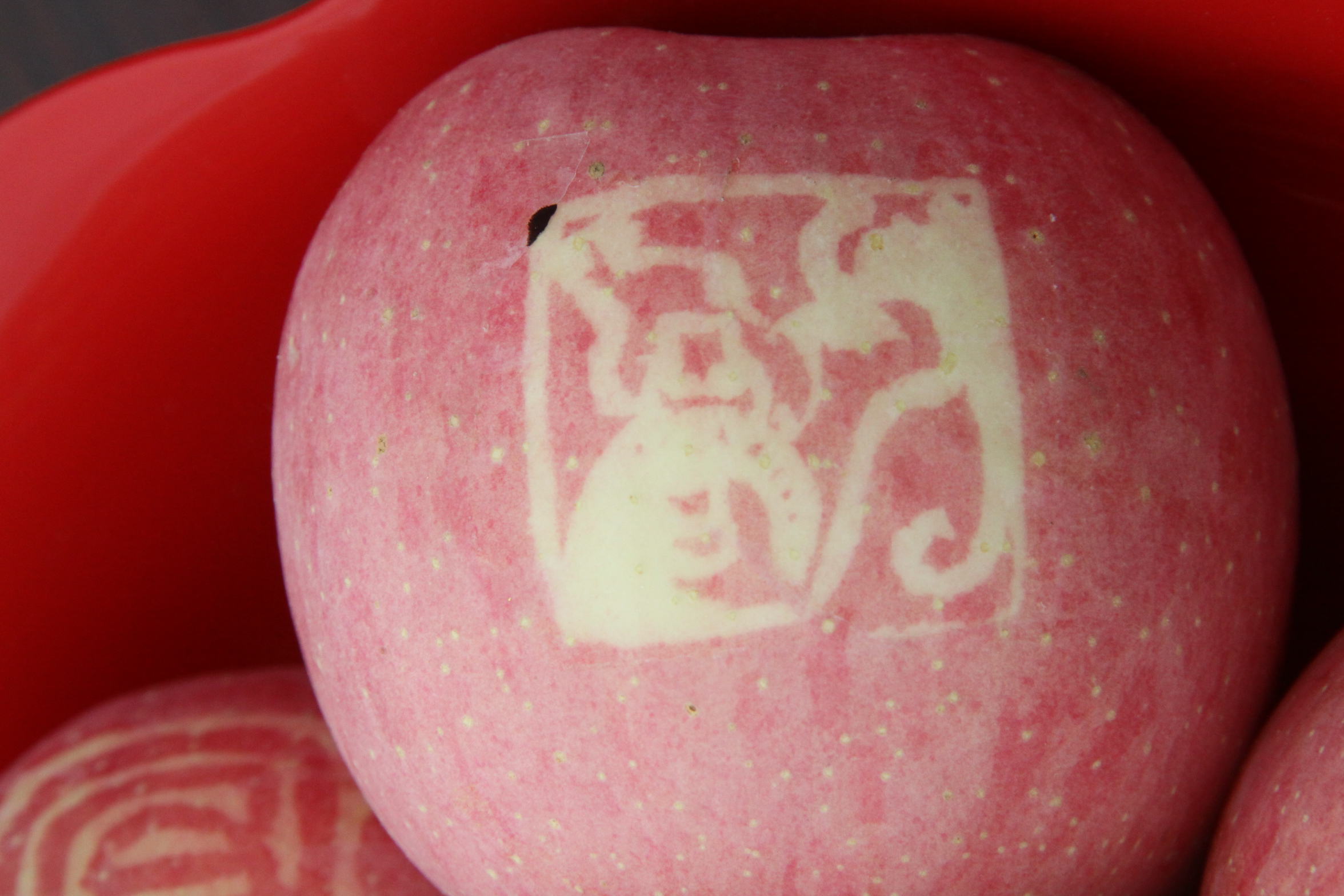 最新的洛川苹果,新的洛川苹果