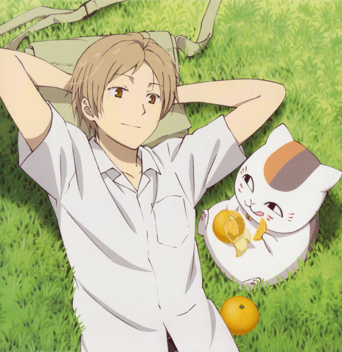 万人评选：“最喜欢的动漫铲屎官”结果公布！