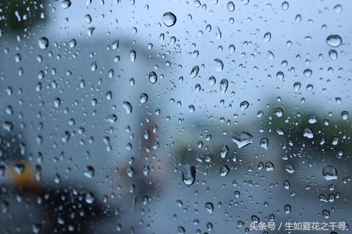 去兰卡威逗小鲨鱼，登嘉楼热浪岛浪一浪