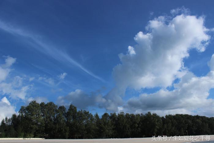 去兰卡威红树林,去兰卡威怎么玩