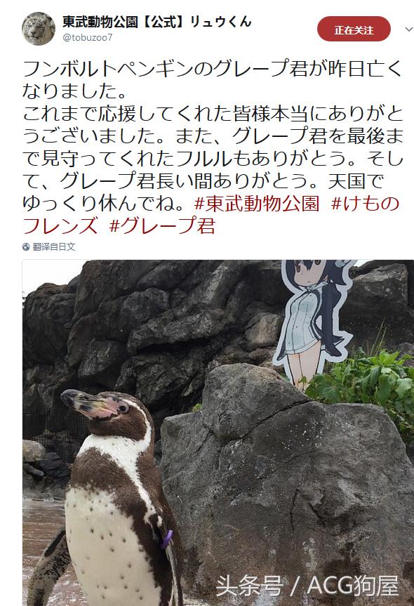 鍐嶈鎴戝幓浜屾鍏冧簡鏃ヨ,鍐嶈鎴戝幓浜屾鍏冧簡姊楀浘