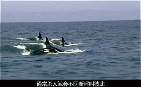 等了17年,等了你十七年