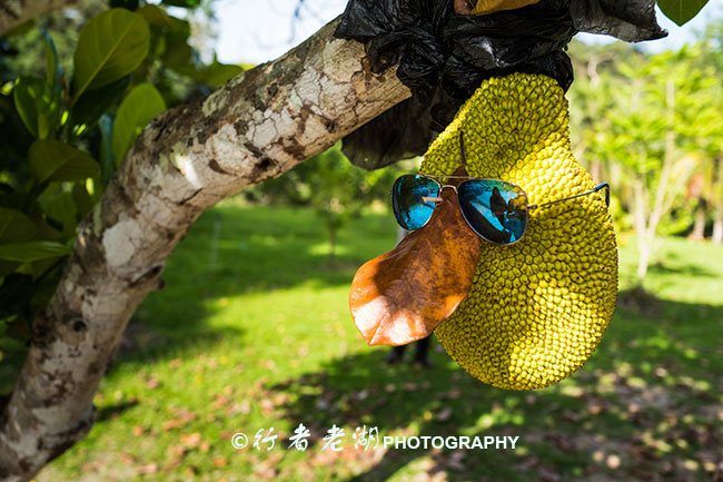 兰卡威最全攻略,兰卡威汽车轮渡到兰卡威什么地方