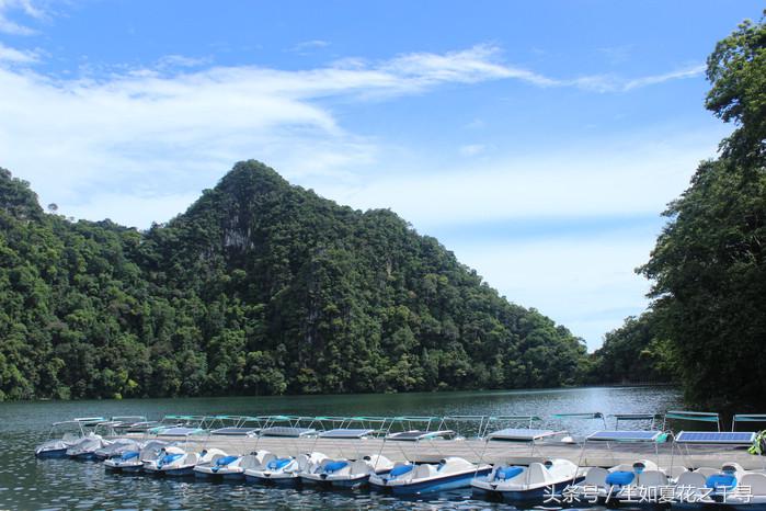去兰卡威逗小鲨鱼，登嘉楼热浪岛浪一浪