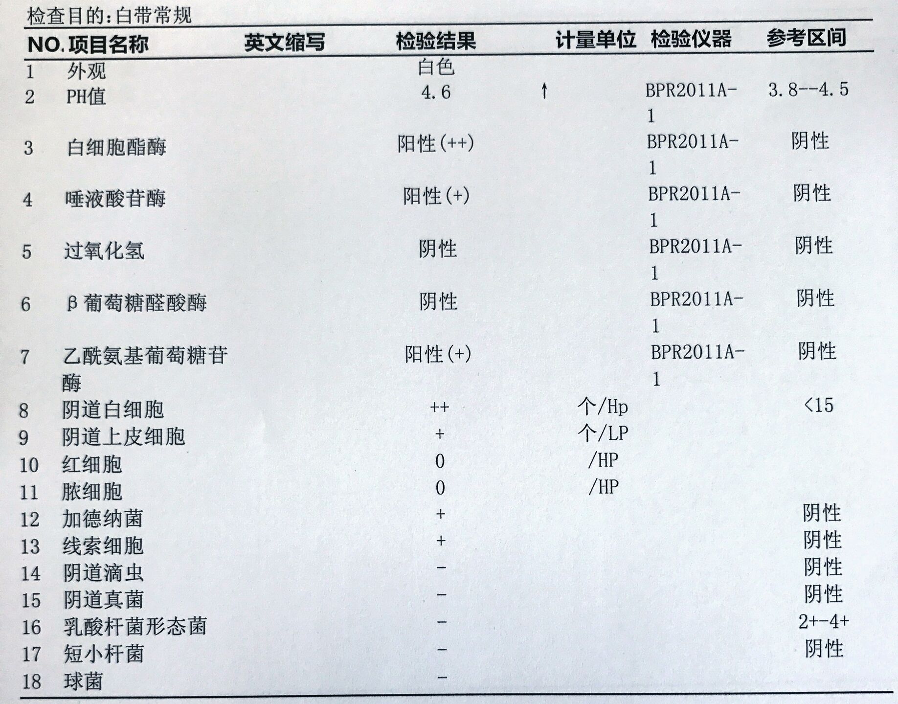白带，你这磨人的小妖精，我该拿你怎么办？