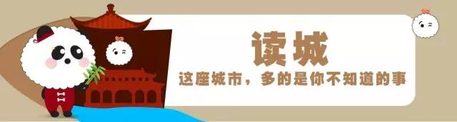 四川ifs大熊猫真的会动吗,成都ifs熊猫在哪个位置