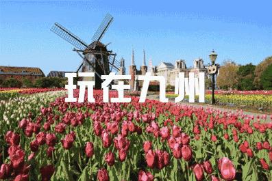 日本九州有哪些旅游景点,日本九州和本州哪里好玩