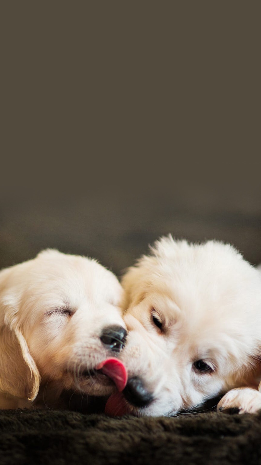 锁屏和桌面壁纸一套唯美,4k佛系唯美意境黑色锁屏壁纸