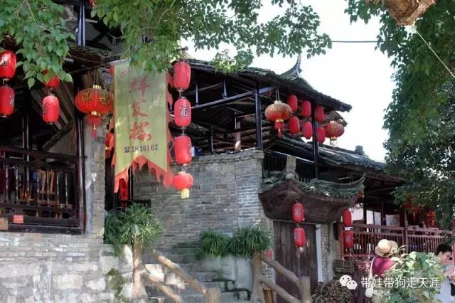 开着房车去遛娃,开着房车带狗狗出去玩