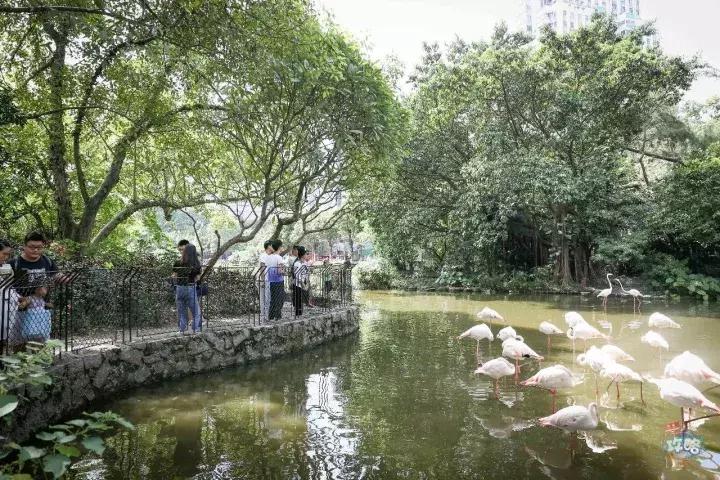 广州动物园的地图,广州动物园下一站去哪里