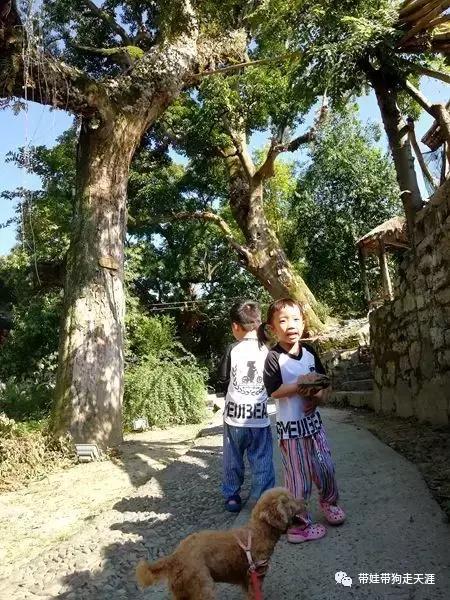 开着房车去遛娃,开着房车带狗狗出去玩