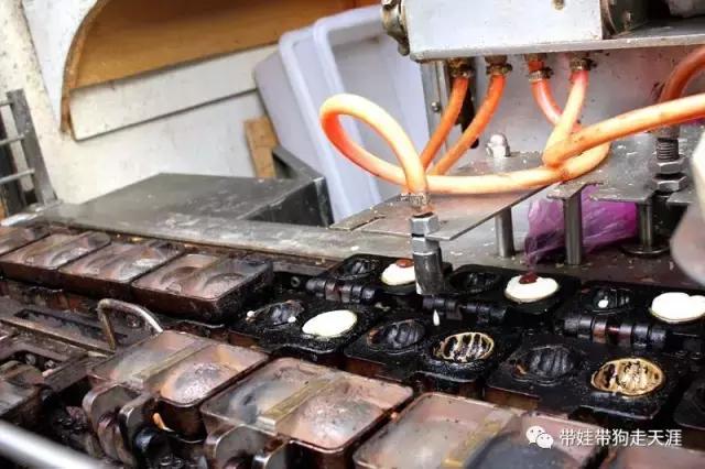 开着房车去遛娃,开着房车带狗狗出去玩