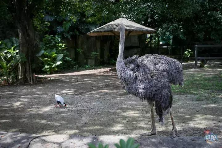 广州动物园的地图,广州动物园下一站去哪里