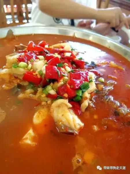 开着房车去遛娃,开着房车带狗狗出去玩