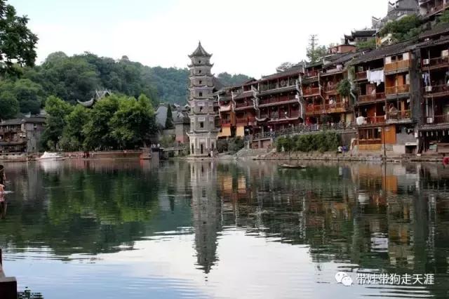 开着房车去遛娃,开着房车带狗狗出去玩