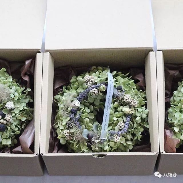 干花的颜色和品种,干花的形态分类