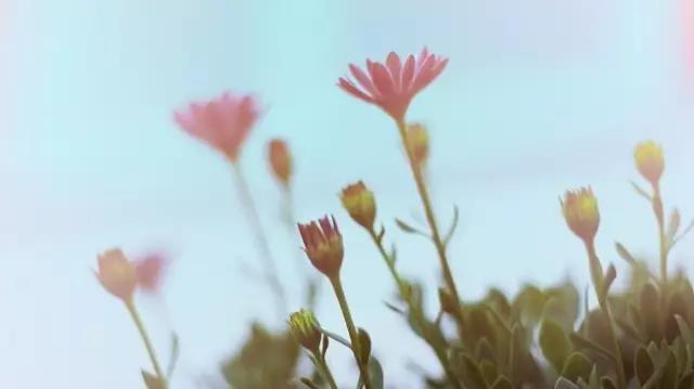 栗子姐每日情感问答,栗子姐每日情感问答全集