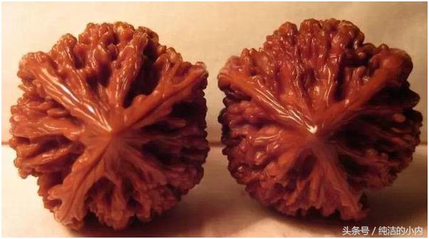 各种各样的文玩核桃图片,各种文玩的核桃图片