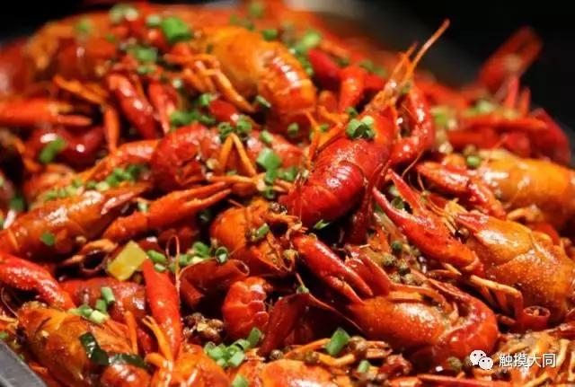 搜罗各地美食,搜罗好吃的美食