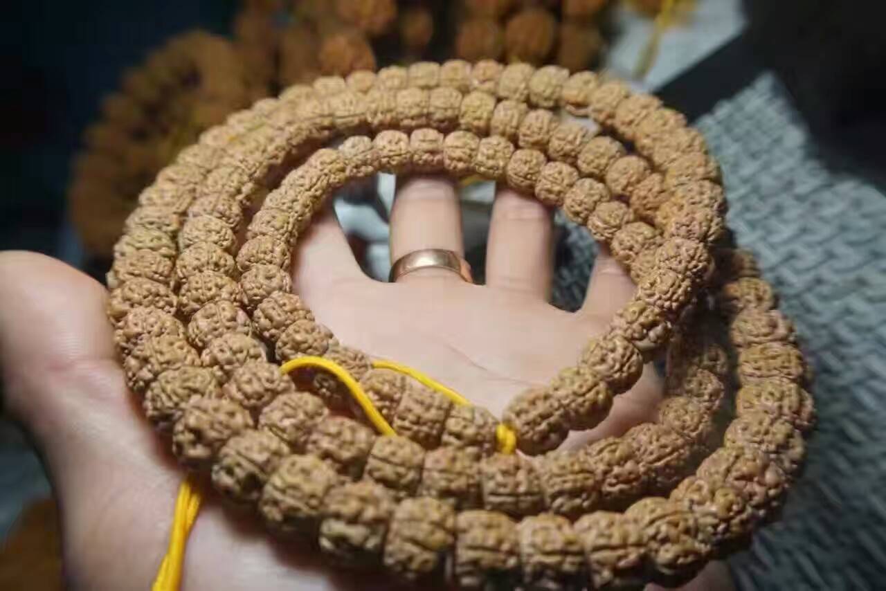 文玩拾遗完整视频,文玩菩提子图片大全集