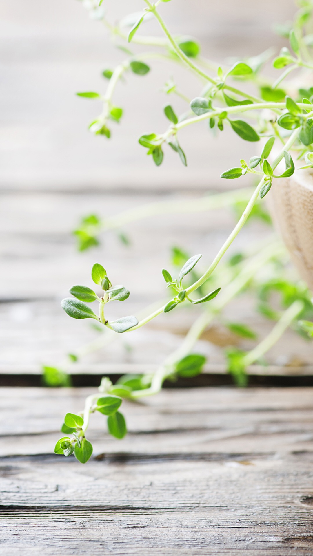 唯美1080×1920P高清壁纸锁屏画面待机背景图！请在wifi环境查看