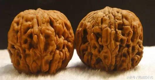 各种各样的文玩核桃图片,各种文玩的核桃图片