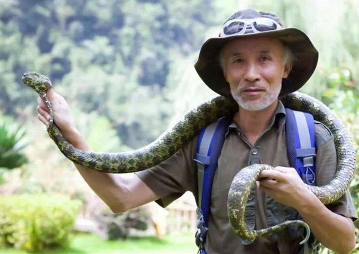 蛇博士告诉我们被蛇咬伤如何自救,被蛇咬了100次