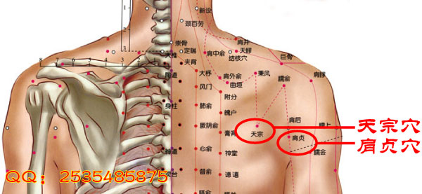 艾灸治疗肩周炎最好的方法,艾灸治疗肩周炎穴位图