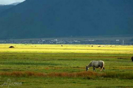 山西方山县旅游景点,山西省方山县旅游景点有哪些