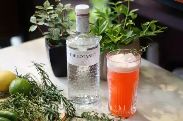 「微微8醺」vol.6|是金酒代表了人,还是人喝出了金酒的优雅?