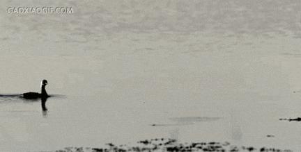 老款奇瑞qqme,奇瑞qqme敞篷版