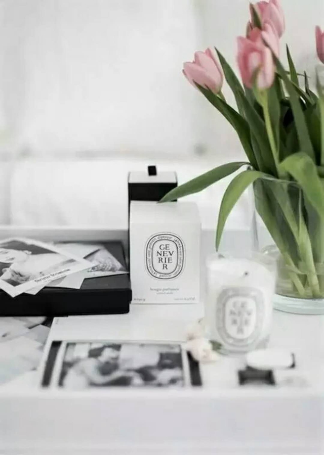 梵尼诗留声机视频,梵尼诗留声机标杆