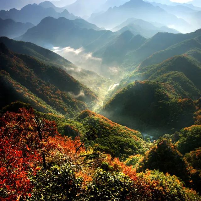 新鲜出炉~赏枫HOT！百名摄影家齐聚庄河天门山