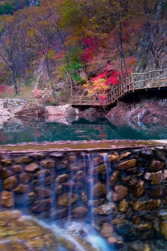新鲜出炉~赏枫HOT！百名摄影家齐聚庄河天门山