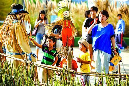 经营农庄的十个大坑,农庄生意惨淡怎么办