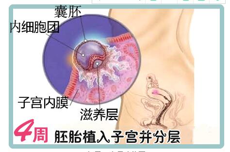 孕妈必须知道的注意事项,孕妈必备详细清单