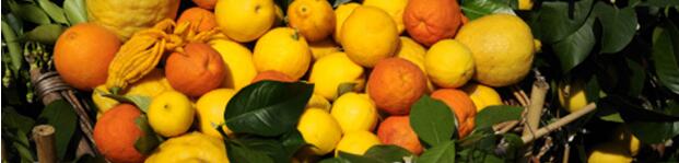 孕妈必须知道的注意事项,孕妈必备详细清单