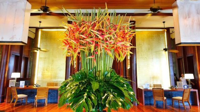 谁陪我度过安达拉的迷人夜