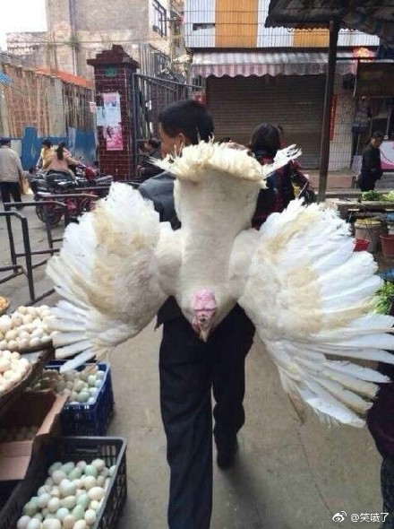 美女朋友圈晒旅游照,女生在朋友圈晒出旅游照片